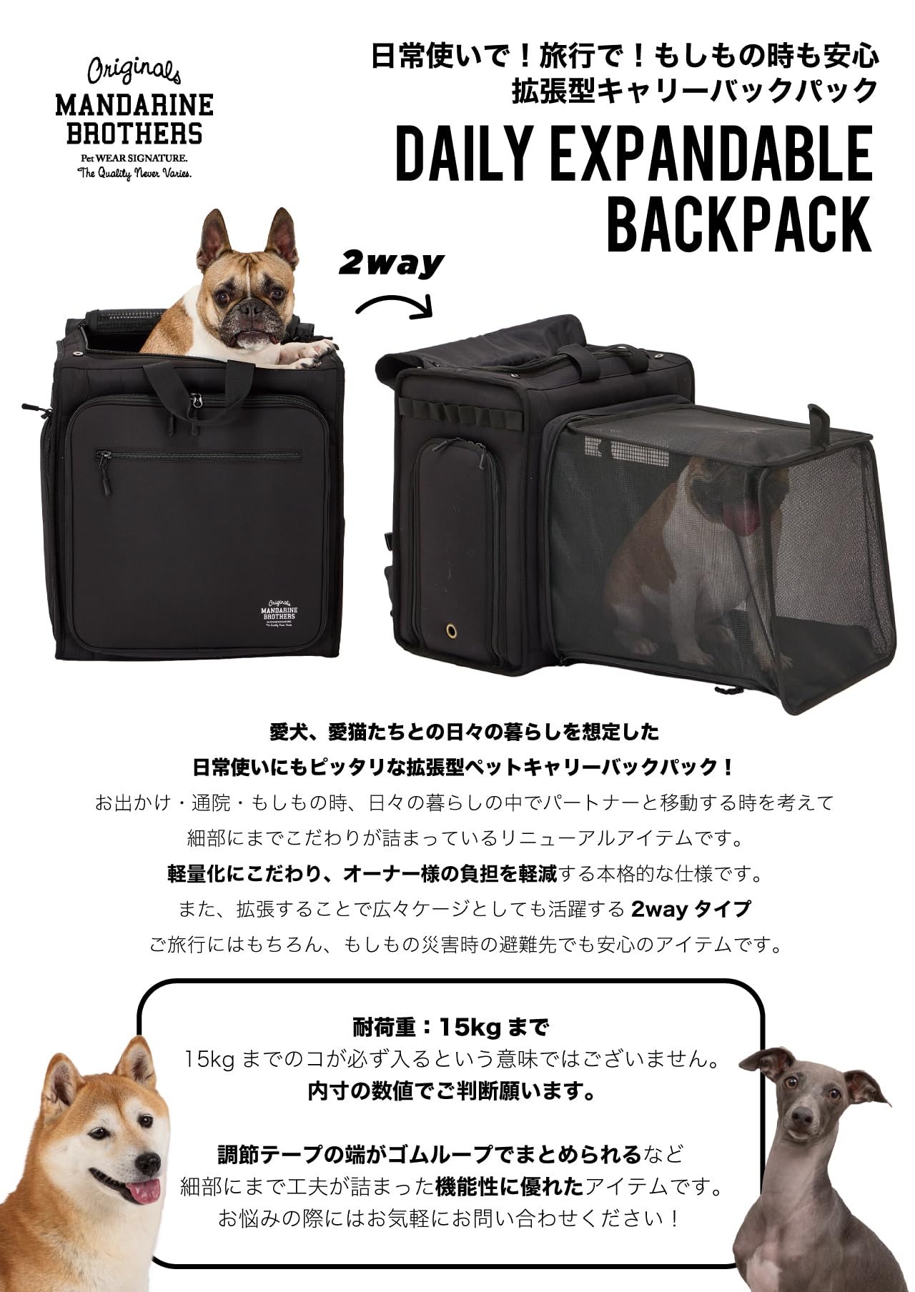 Amazon.co.jp: MANDARINE BROTHERS マンダリンブラザーズ DAILY